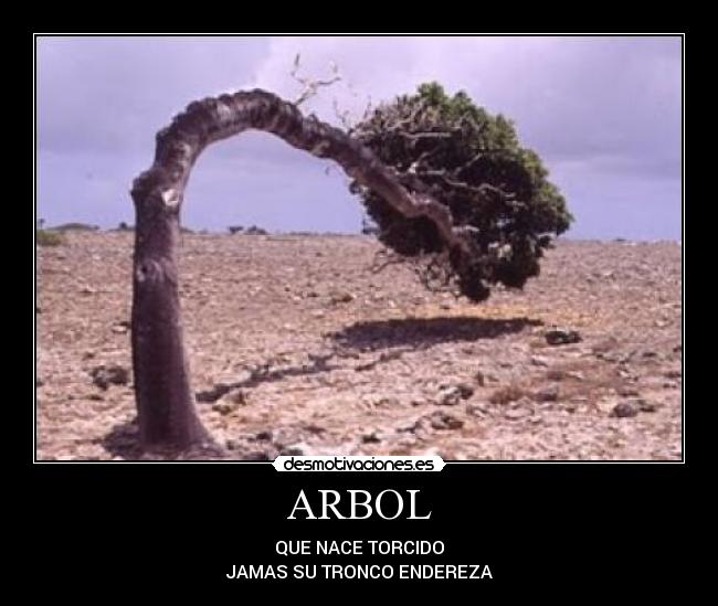 ARBOL - QUE NACE TORCIDO
JAMAS SU TRONCO ENDEREZA