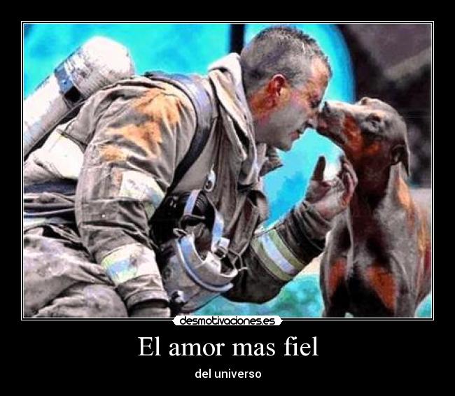El amor mas fiel - 