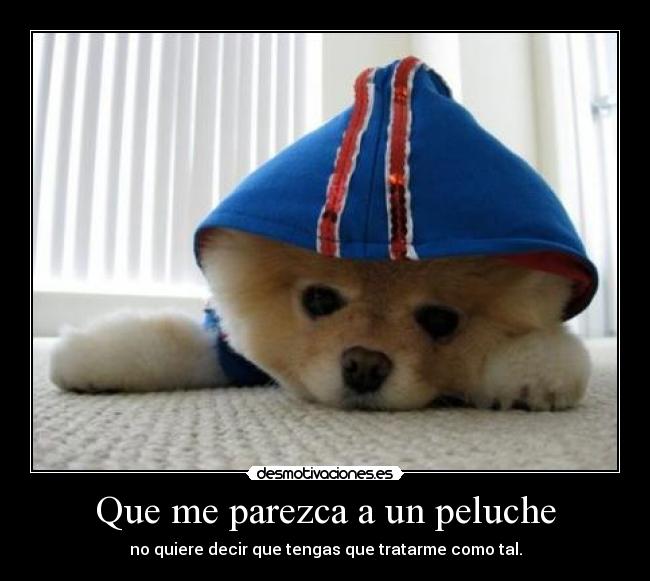 Que me parezca a un peluche - 