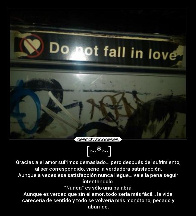 [~*~] - Gracias a el amor sufrimos demasiado... pero después del sufrimiento,
al ser correspondido, viene la verdadera satisfacción.
Aunque a veces esa satisfacción nunca llegue... vale la pena seguir
intentándolo.
Nunca es sólo una palabra.
Aunque es verdad que sin el amor, todo sería más fácil... la vida
carecería de sentido y todo se volvería más monótono, pesado y
aburrido.