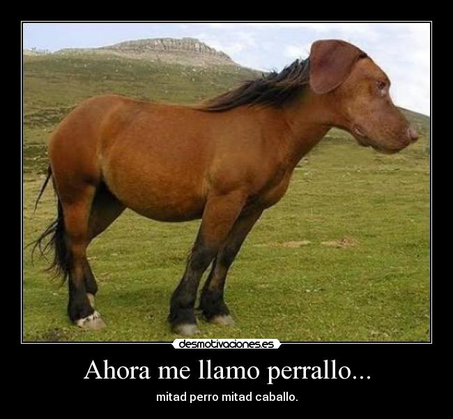 Ahora me llamo perrallo... -