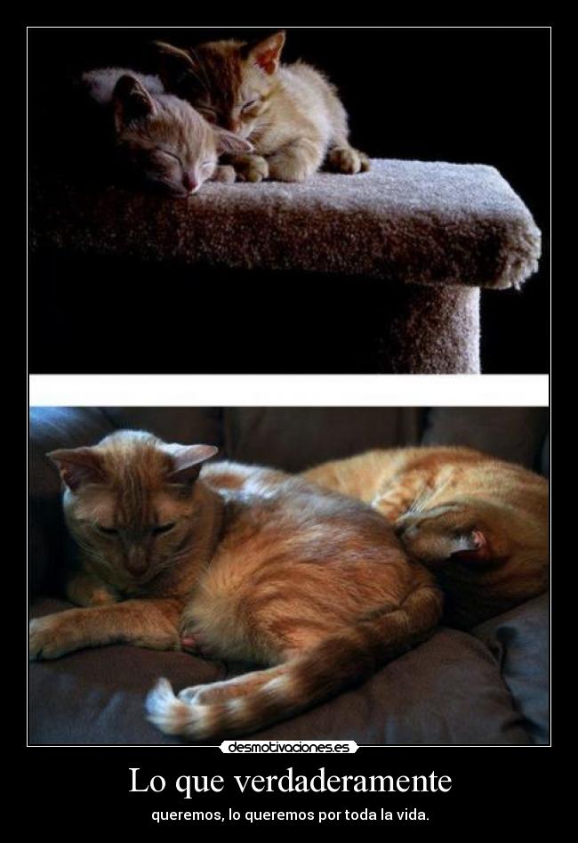 Lo que verdaderamente - queremos, lo queremos por toda la vida.