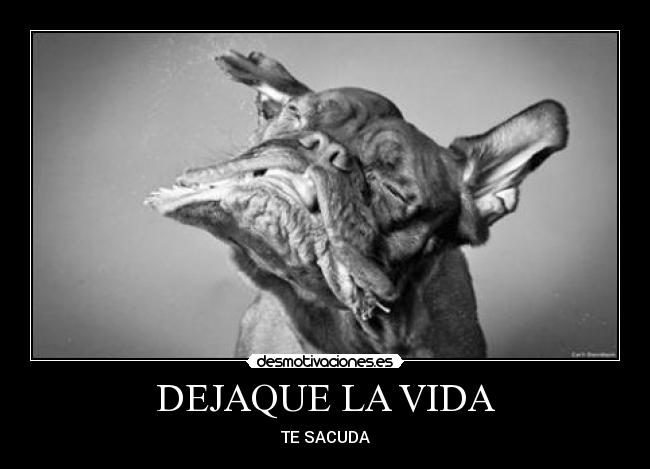 DEJAQUE LA VIDA - TE SACUDA