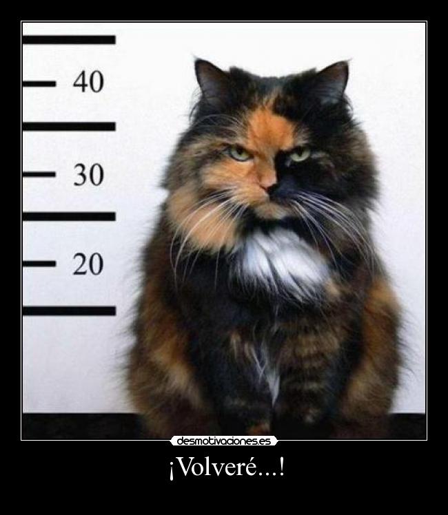 ¡Volveré...! -