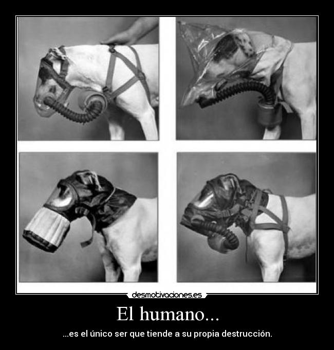 El humano... -