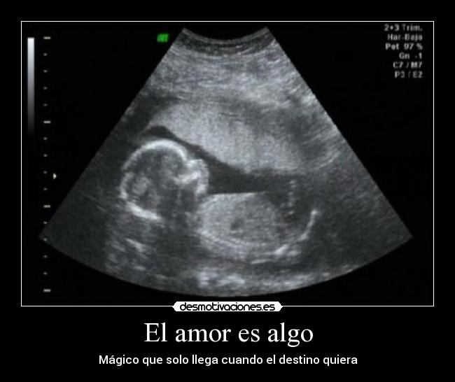 carteles amor amor desmotivaciones