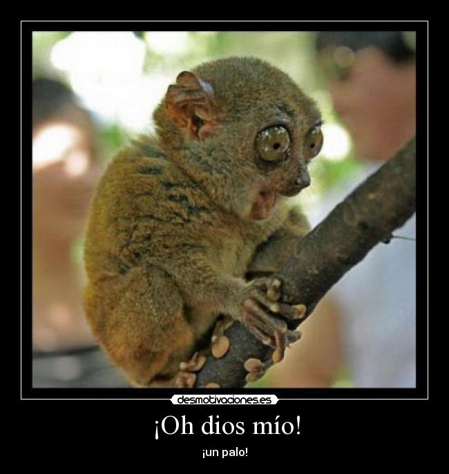 ¡Oh dios mío! - 