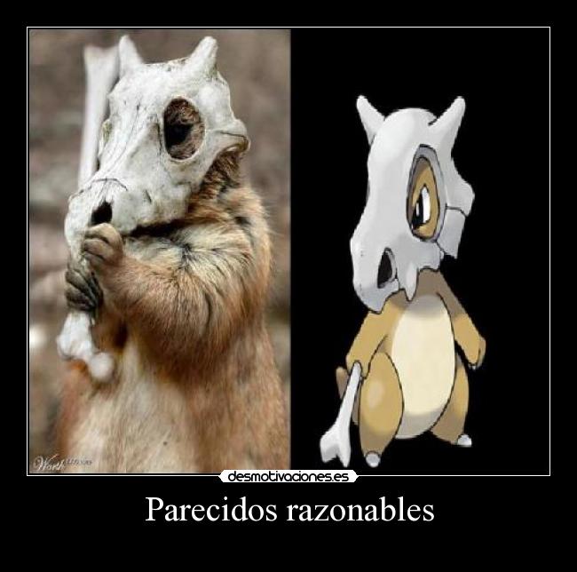 carteles parecidos razonables desmotivaciones