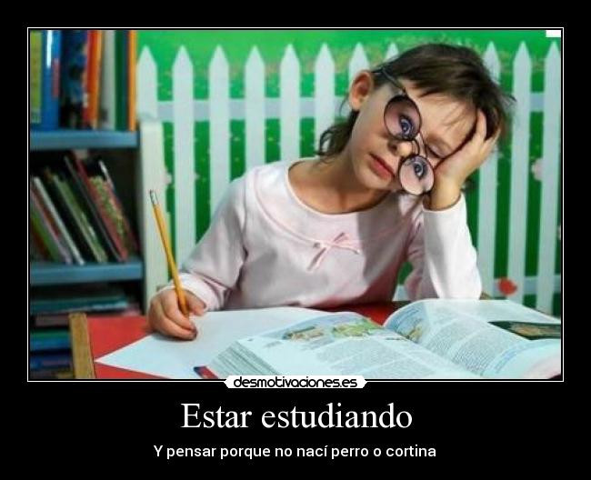 Estar estudiando - Y pensar porque no nací perro o cortina