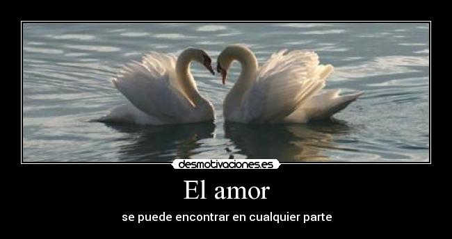 El amor - se puede encontrar en cualquier parte