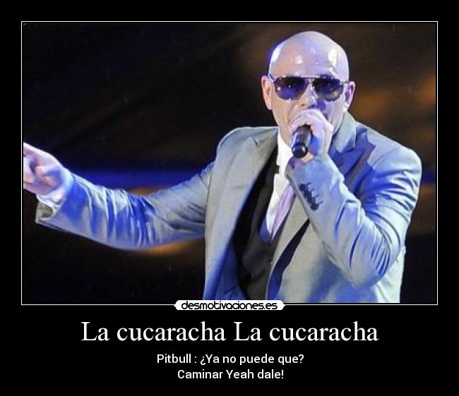 carteles pitbull desmotivaciones