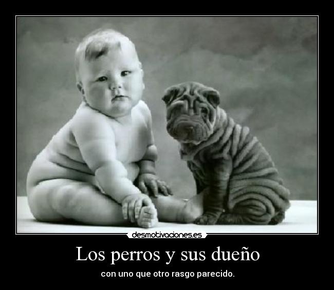 Los perros y sus dueño - con uno que otro rasgo parecido.