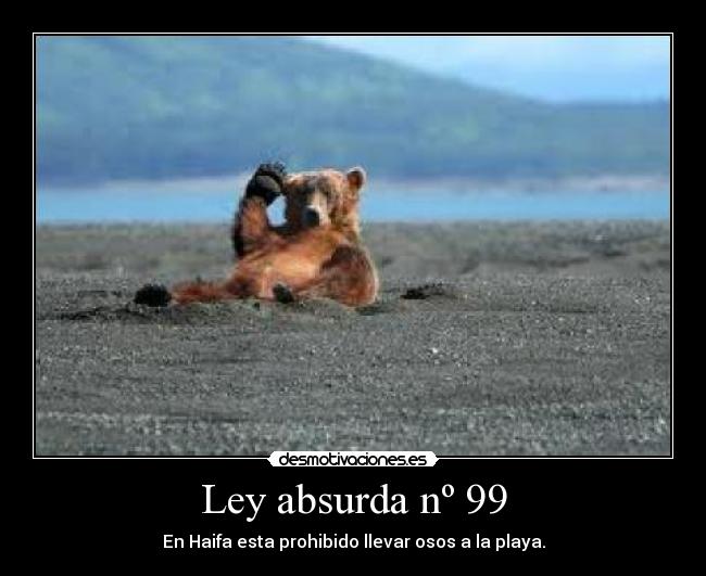 Ley absurda nº 99 - En Haifa esta prohibido llevar osos a la playa.