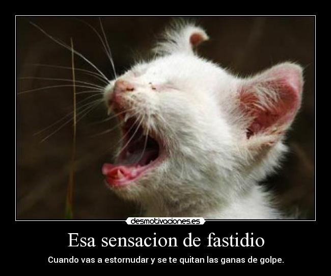 Esa sensacion de fastidio - Cuando vas a estornudar y se te quitan las ganas de golpe.