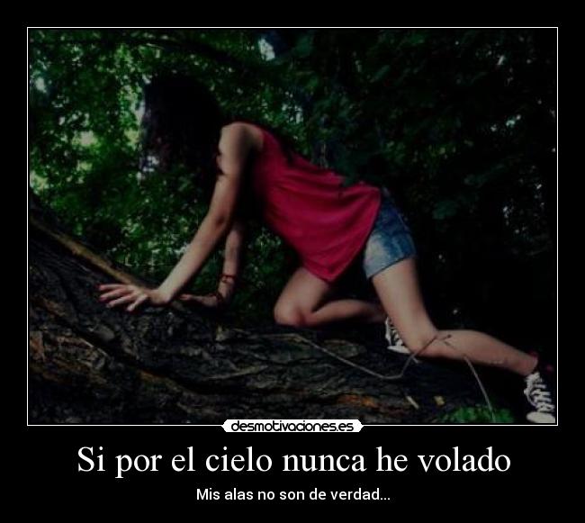 Si por el cielo nunca he volado -