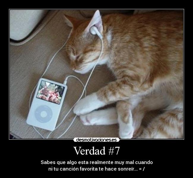 Verdad #7 - 