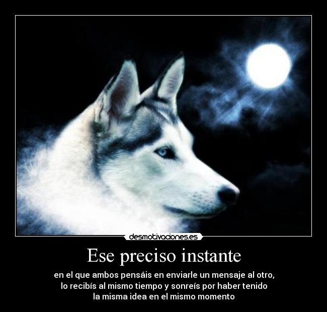 Ese preciso instante - en el que ambos pensáis en enviarle un mensaje al otro,
lo recibís al mismo tiempo y sonreís por haber tenido
la misma idea en el mismo momento