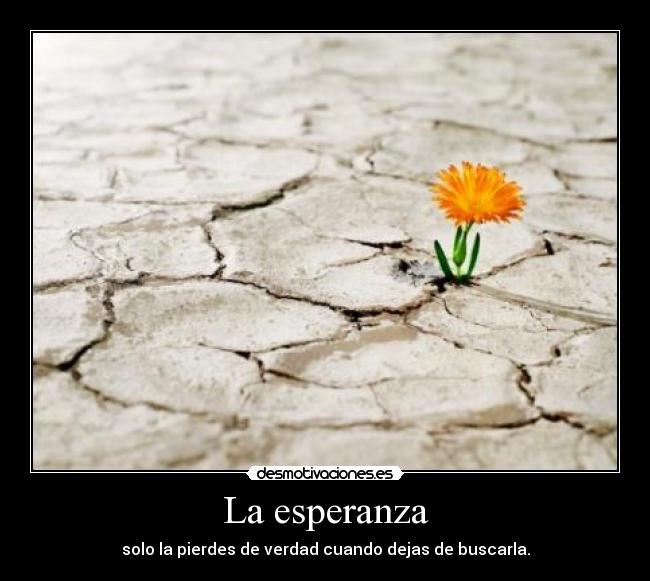 La esperanza - 