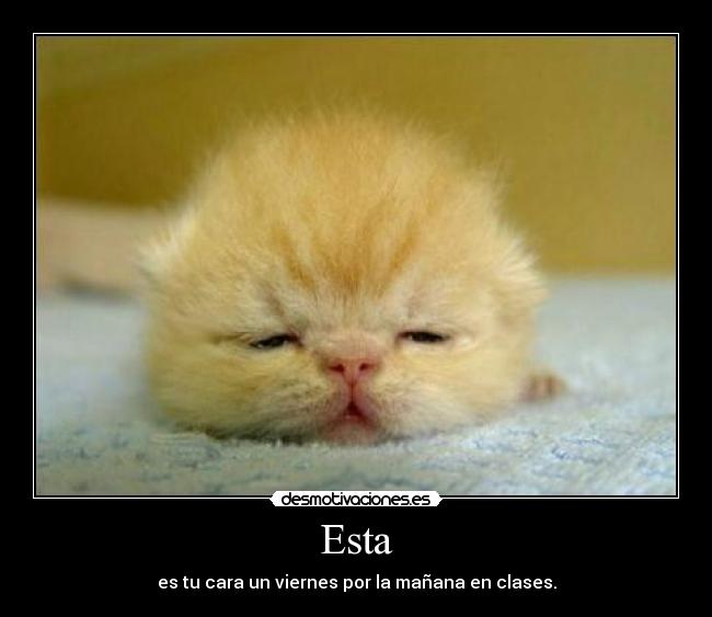 Esta - es tu cara un viernes por la mañana en clases.