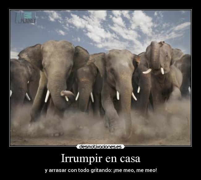 Irrumpir en casa - y arrasar con todo gritando: ¡me meo, me meo!