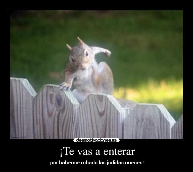 ¡Te vas a enterar Desmotivaciones