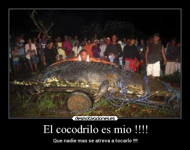 El cocodrilo es mio !!!! - Que nadie mas se atreva a tocarlo !!!!