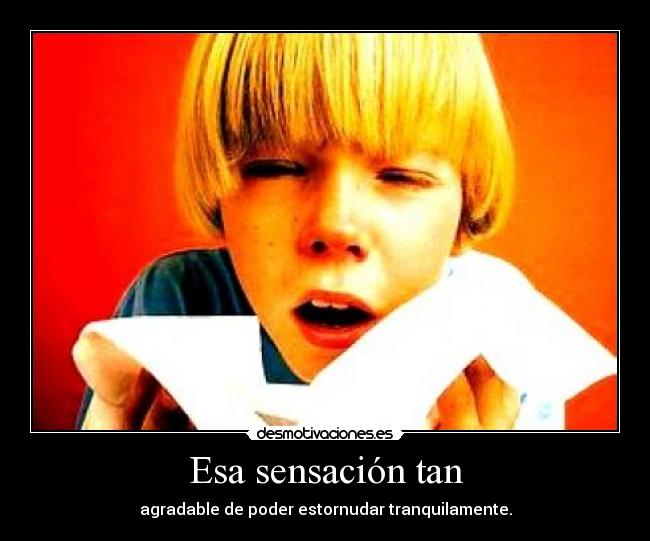 Esa sensación tan - agradable de poder estornudar tranquilamente.