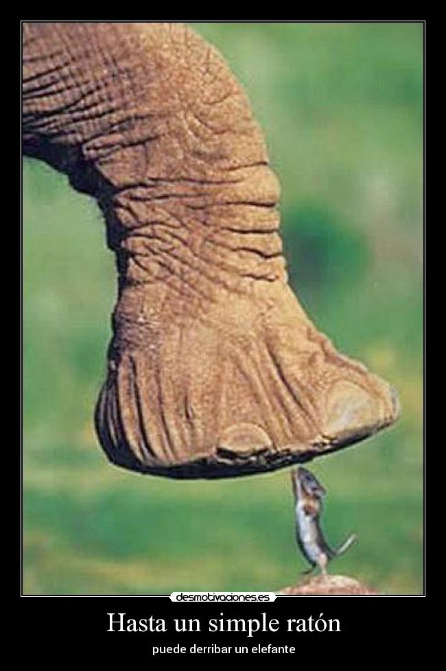 Hasta un simple ratón -