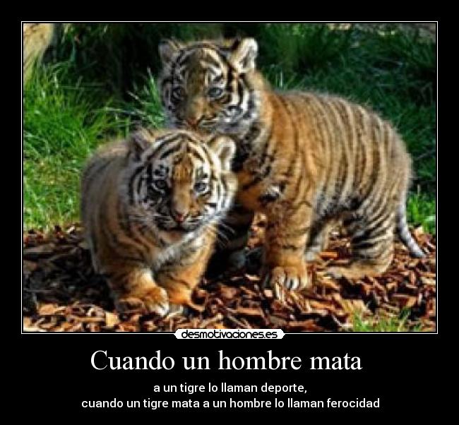 carteles georges bernard shaw desmotivaciones