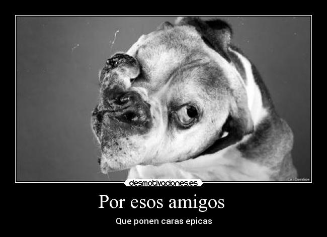 Por esos amigos - Que ponen caras epicas