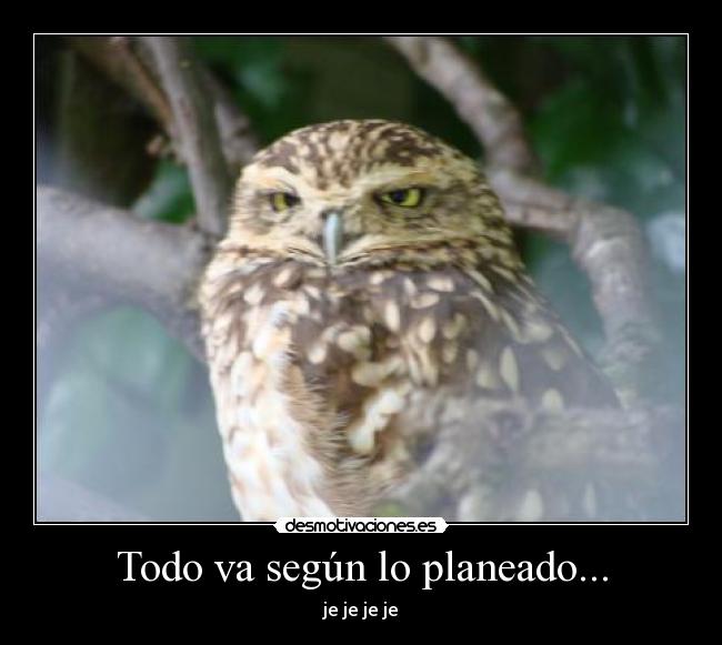 Todo va según lo planeado... - je je je je