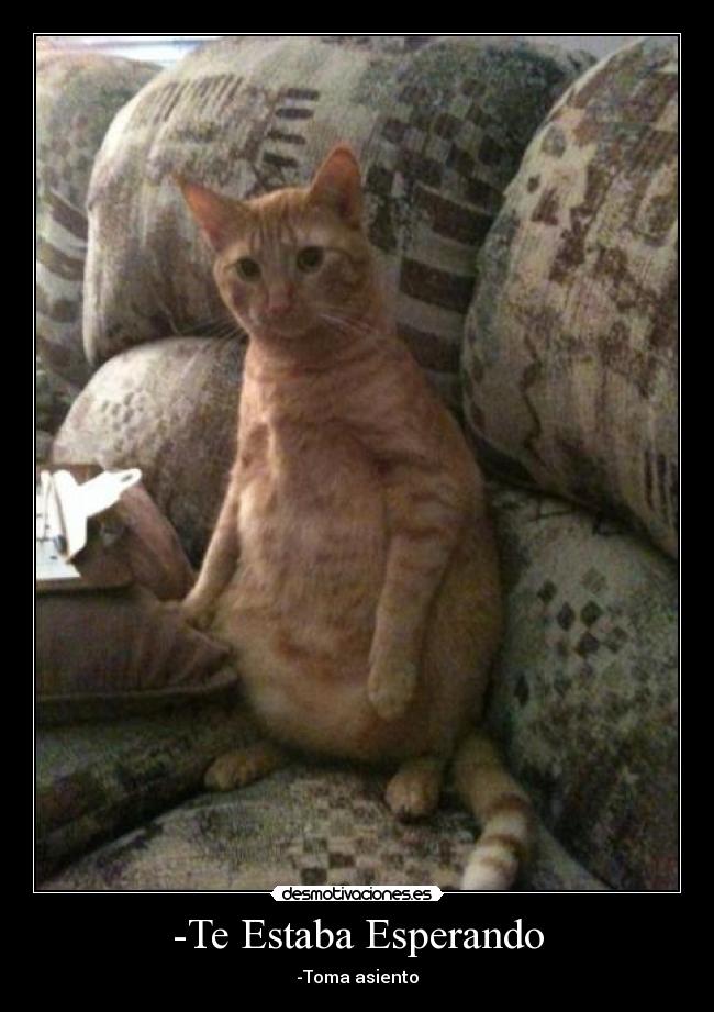 -Te Estaba Esperando - -Toma asiento