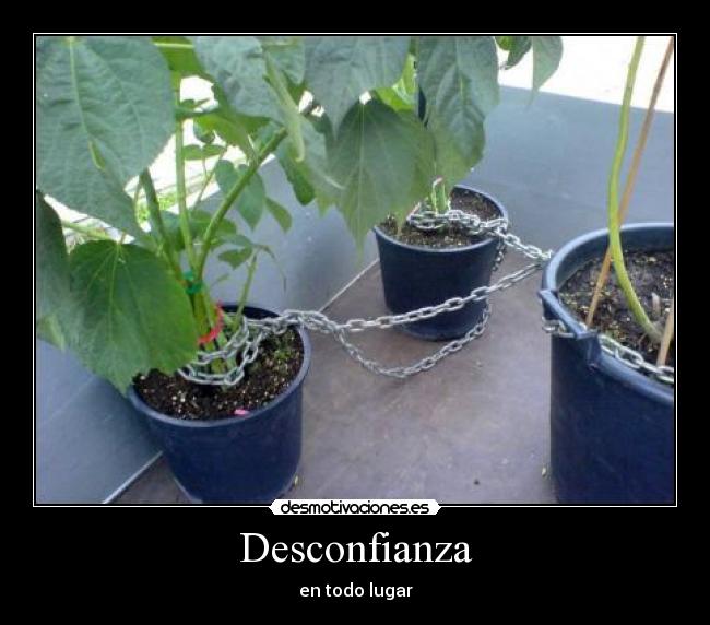 Desconfianza - 