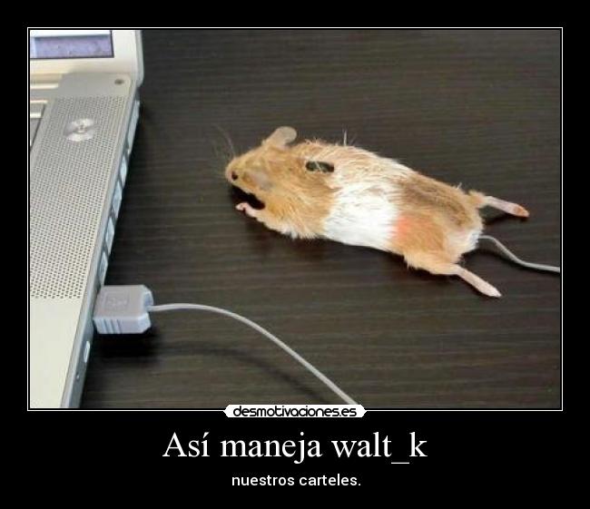 carteles asia maneja walt_k desmotivaciones