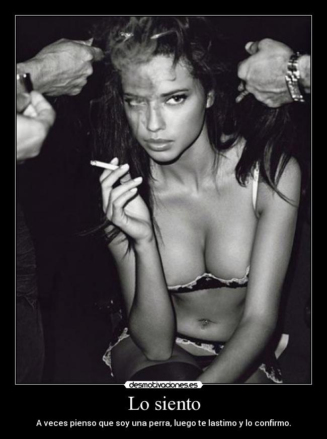 Lo siento - A veces pienso que soy una perra, luego te lastimo y lo confirmo.
