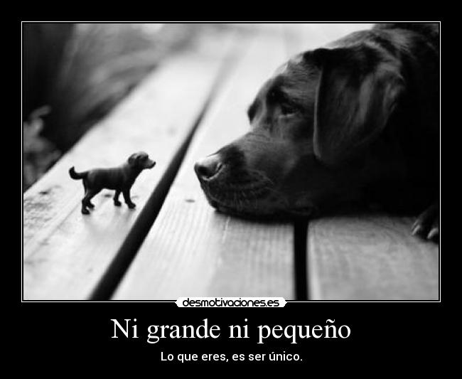 Ni grande ni pequeño -