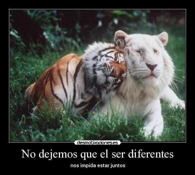 No dejemos que el ser diferentes - 