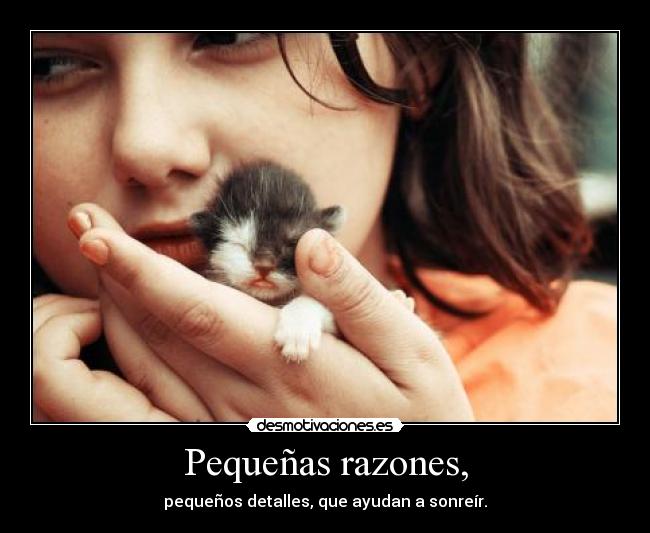 carteles pongo clanvirus sin animo lucro espero que nadie mate por ello desmotivaciones