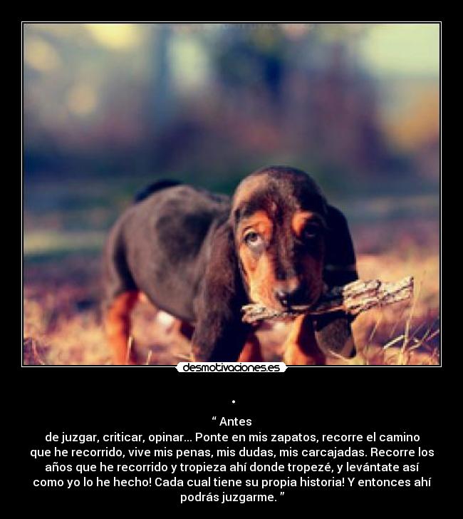 . - “ Antes
de juzgar, criticar, opinar... Ponte en mis zapatos, recorre el camino
que he recorrido, vive mis penas, mis dudas, mis carcajadas. Recorre los
años que he recorrido y tropieza ahí donde tropezé, y levántate así
como yo lo he hecho! Cada cual tiene su propia historia! Y entonces ahí
podrás juzgarme. ”