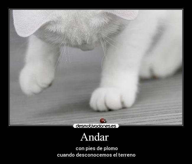 Andar  - 