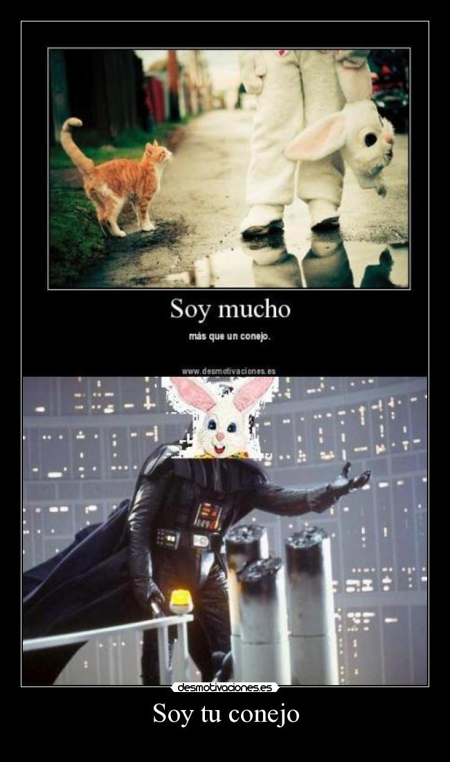 Soy tu conejo - 