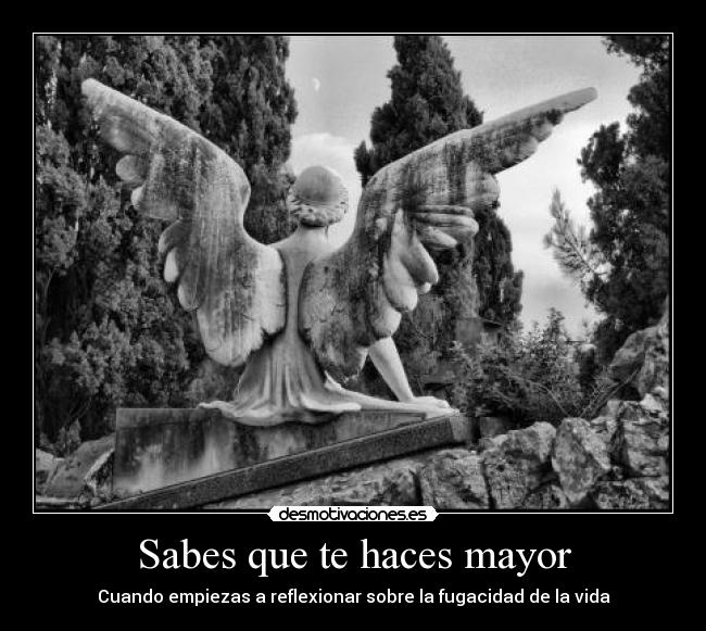 Sabes que te haces mayor - Cuando empiezas a reflexionar sobre la fugacidad de la vida