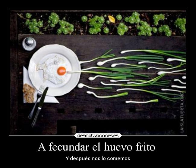 A fecundar el huevo frito Desmotivaciones