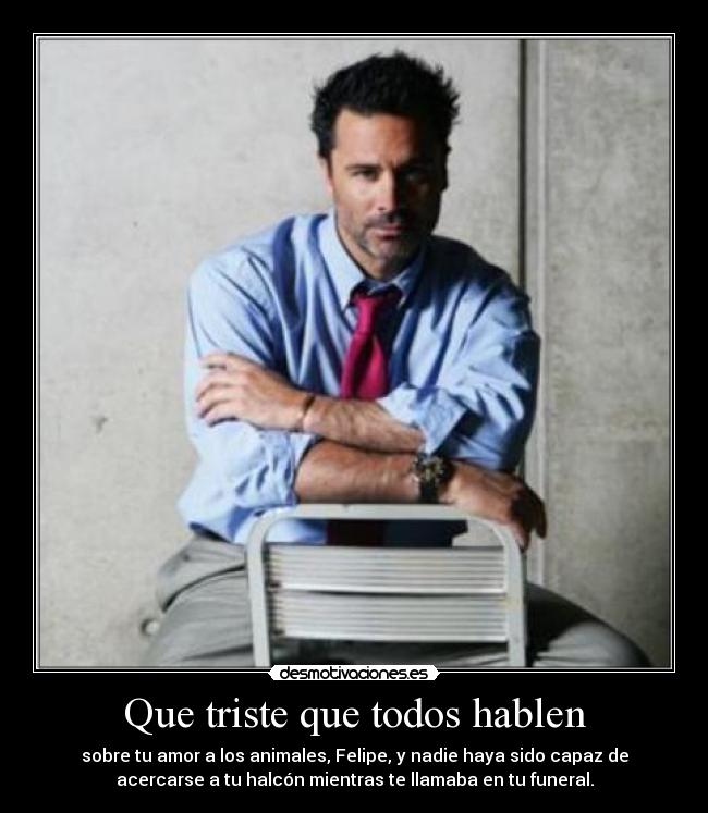 Que triste que todos hablen - sobre tu amor a los animales, Felipe, y nadie haya sido capaz de
acercarse a tu halcón mientras te llamaba en tu funeral.