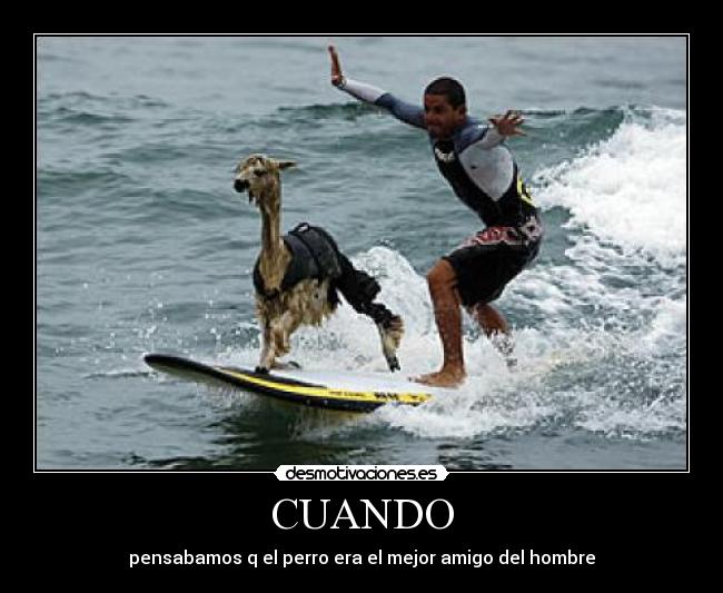 carteles xupium desmotivaciones