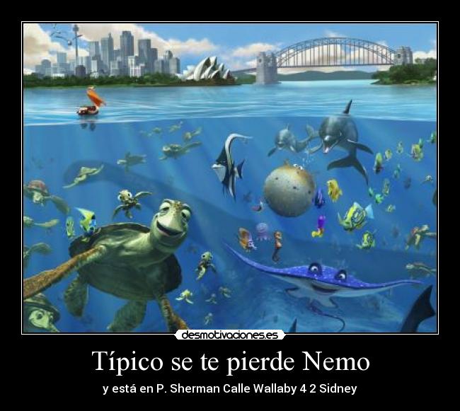 Típico se te pierde Nemo - 