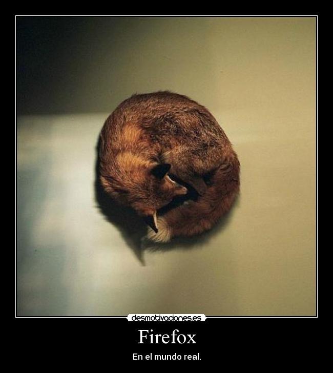 Firefox - 