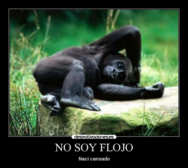 NO SOY FLOJO - 