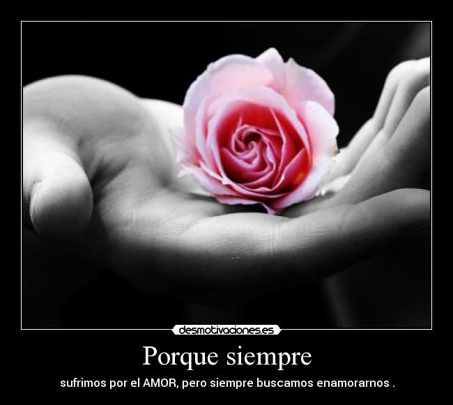Porque siempre - sufrimos por el AMOR, pero siempre buscamos enamorarnos .