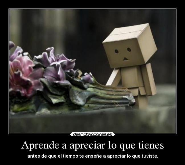 Aprende a apreciar lo que tienes -